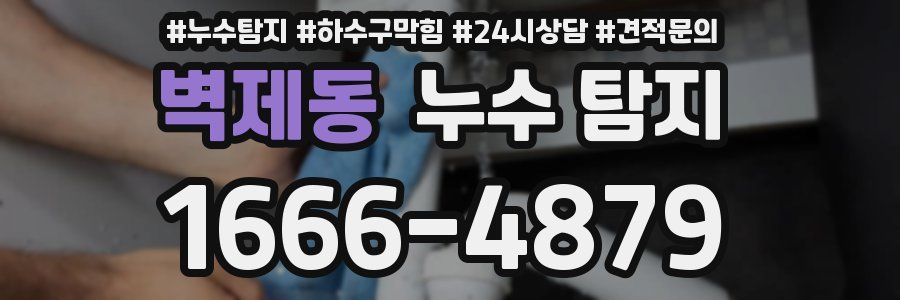 벽제동 누수 탐지