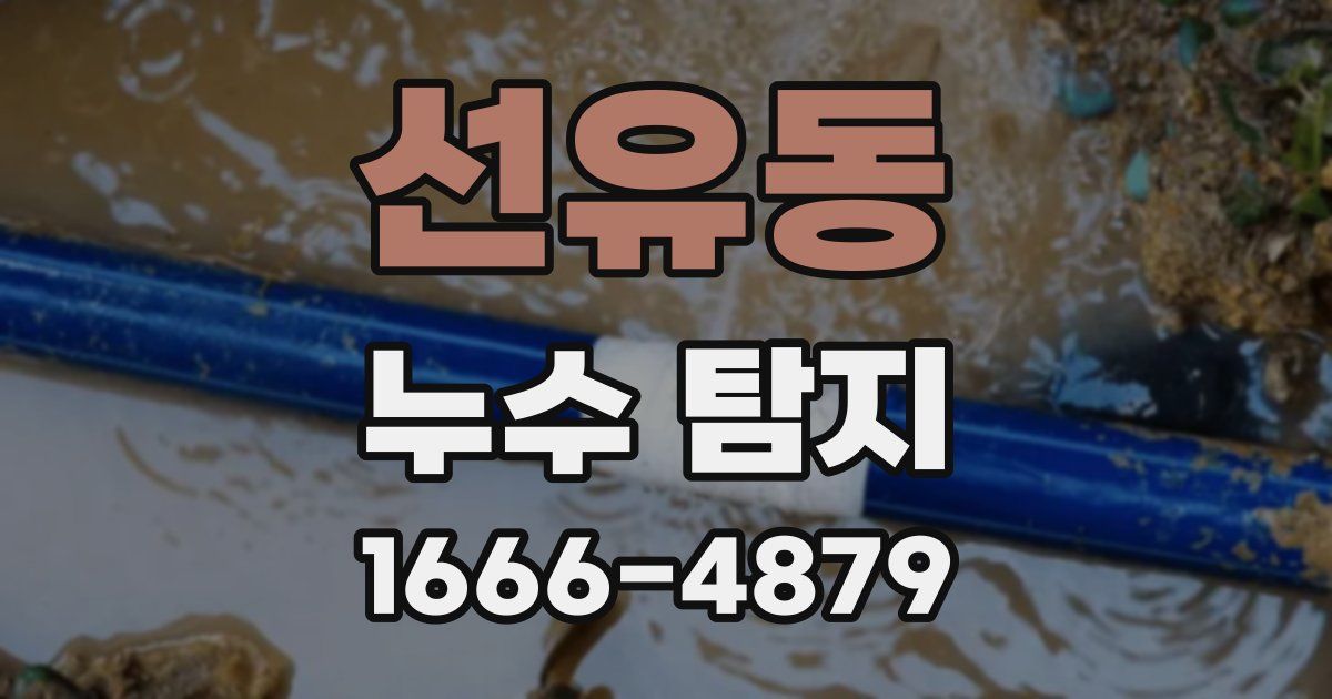 선유동 누수 탐지