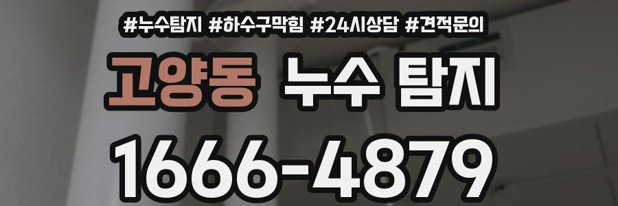 고양동 누수 탐지