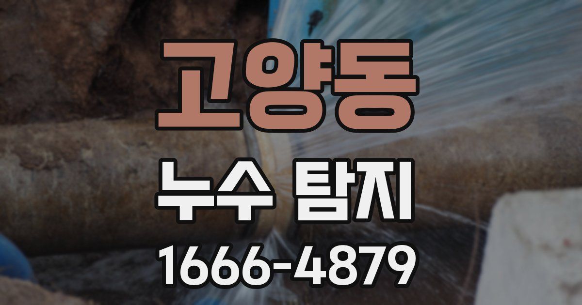 고양동 누수 탐지