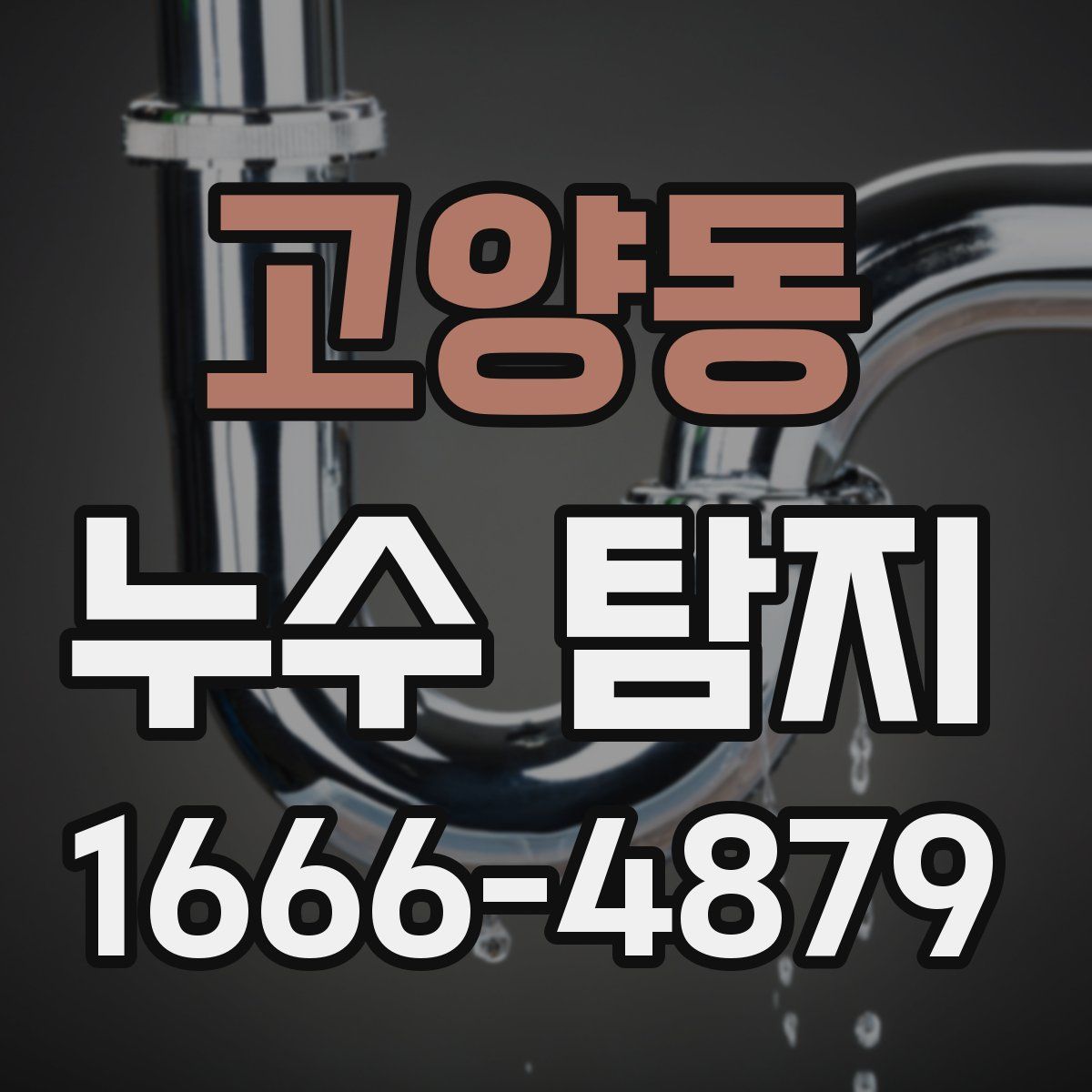 고양동 누수 탐지