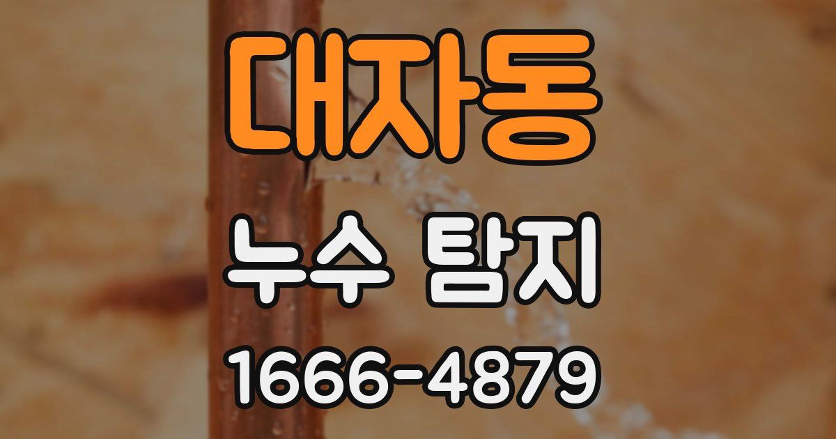 대자동 누수 탐지