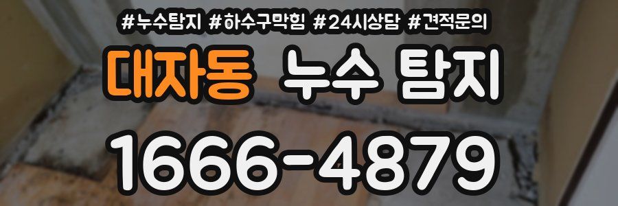 대자동 누수 탐지