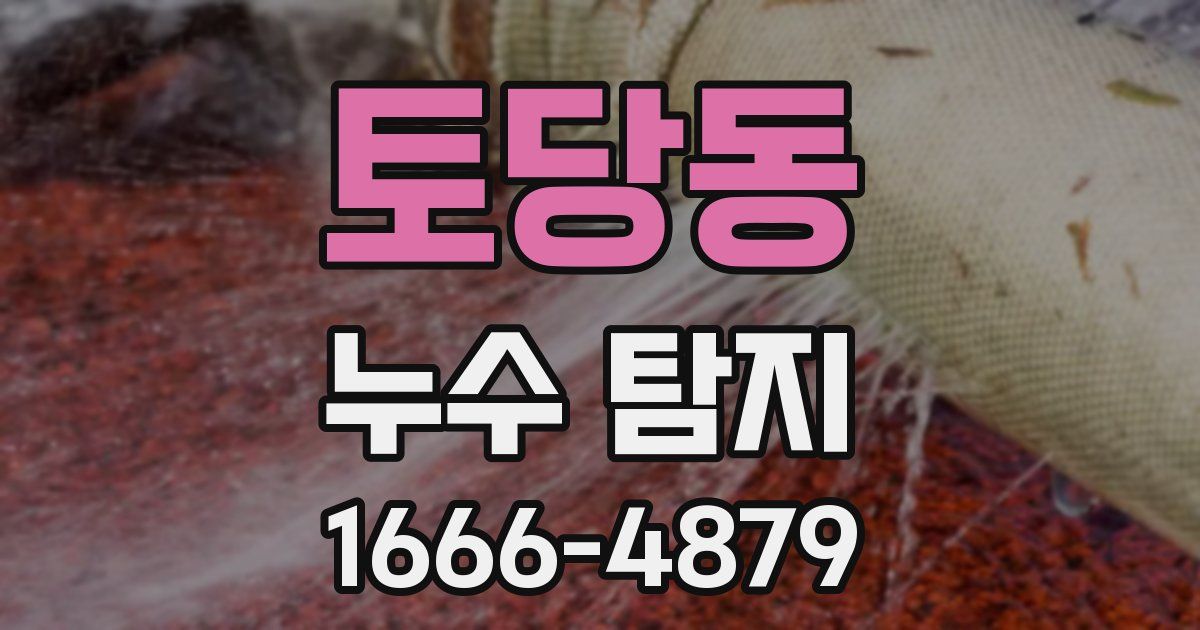 토당동 누수 탐지