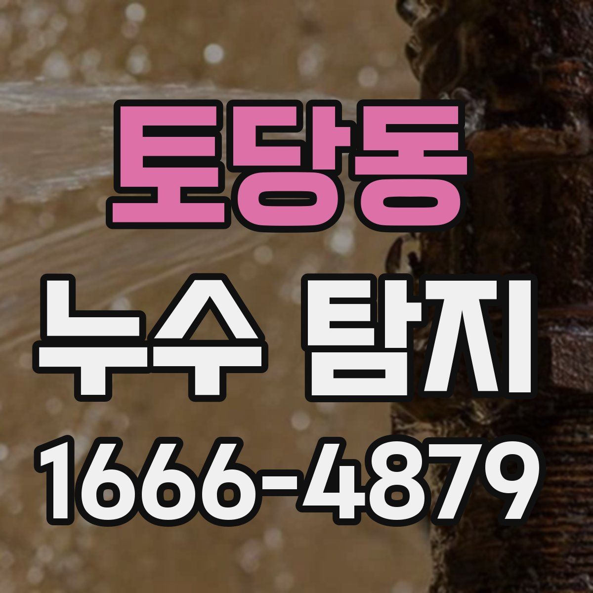 토당동 누수 탐지