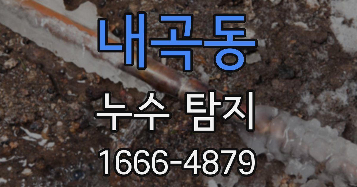 내곡동 누수 탐지