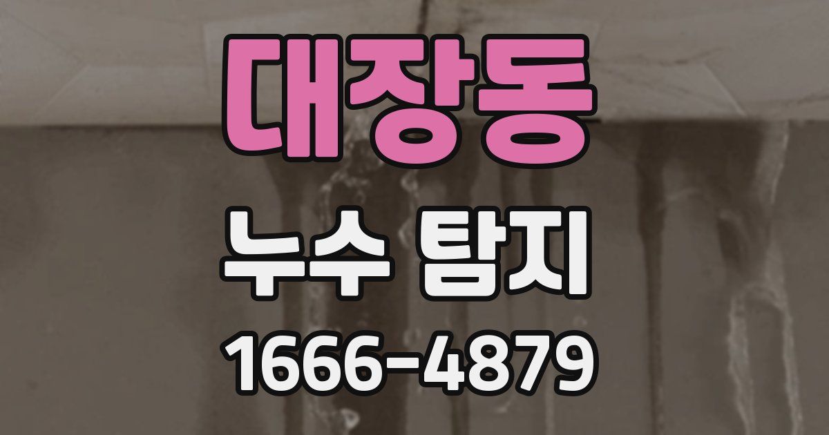 대장동 누수 탐지