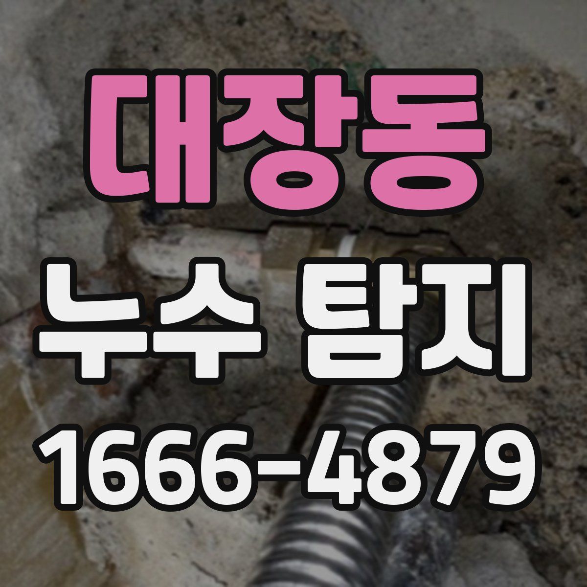 대장동 누수 탐지