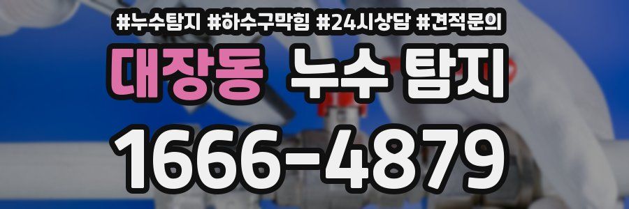 대장동 누수 탐지