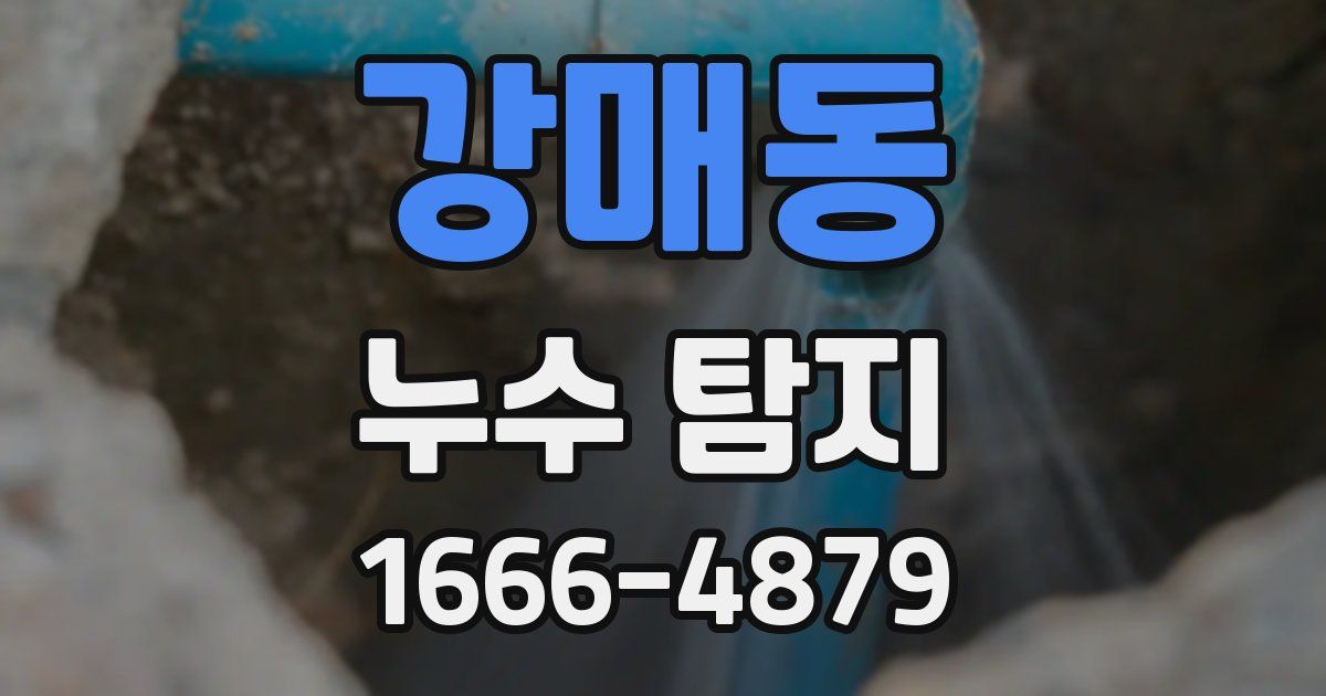 강매동 누수 탐지