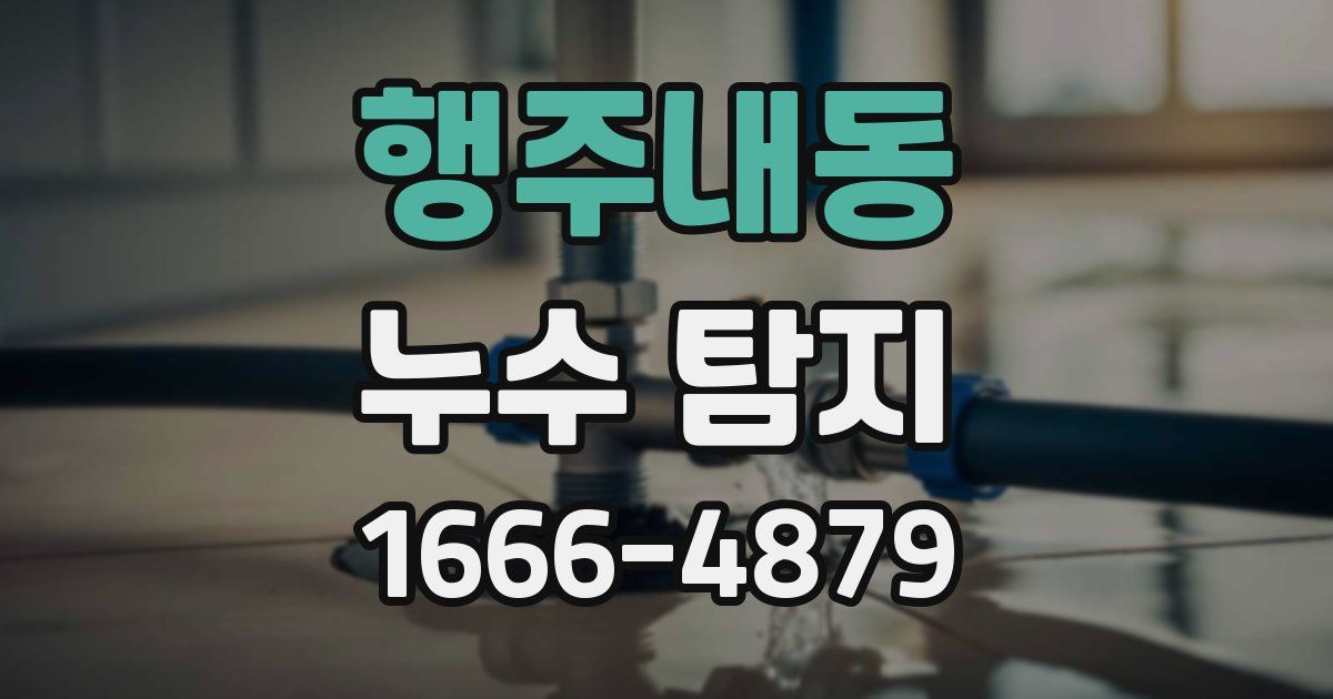 행주내동 누수 탐지
