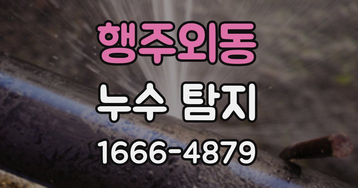 행주외동 누수 탐지