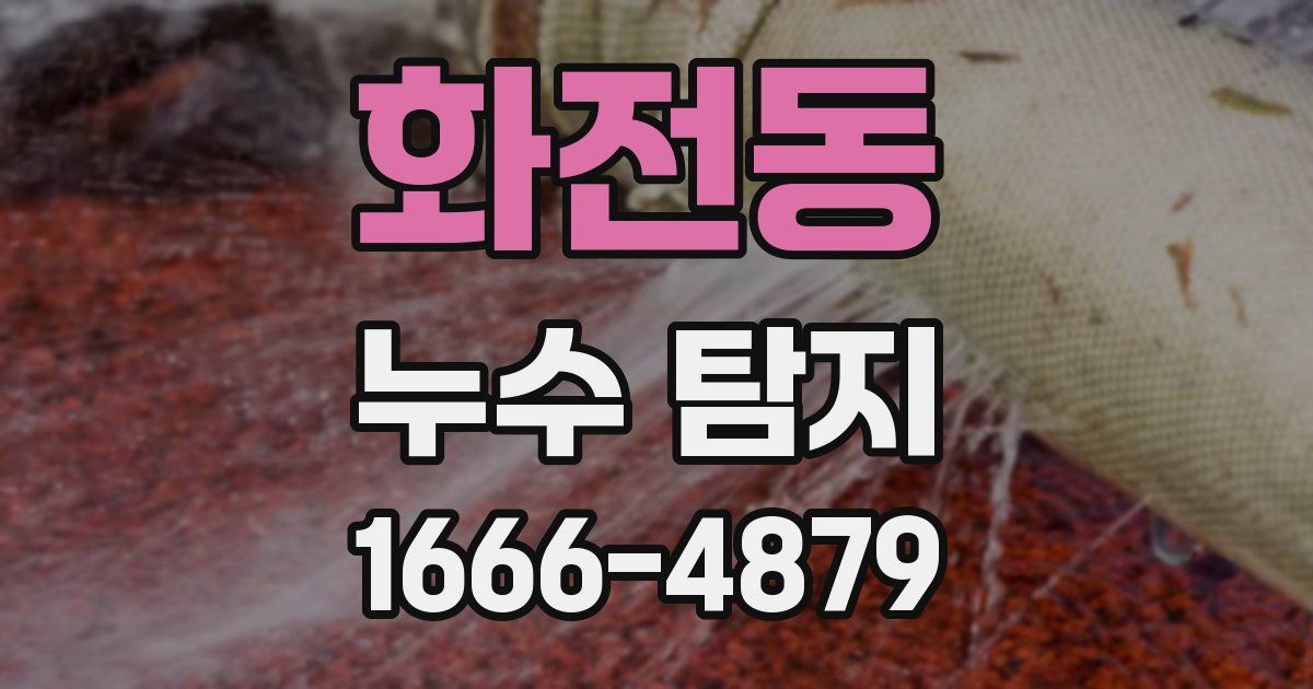 화전동 누수 탐지