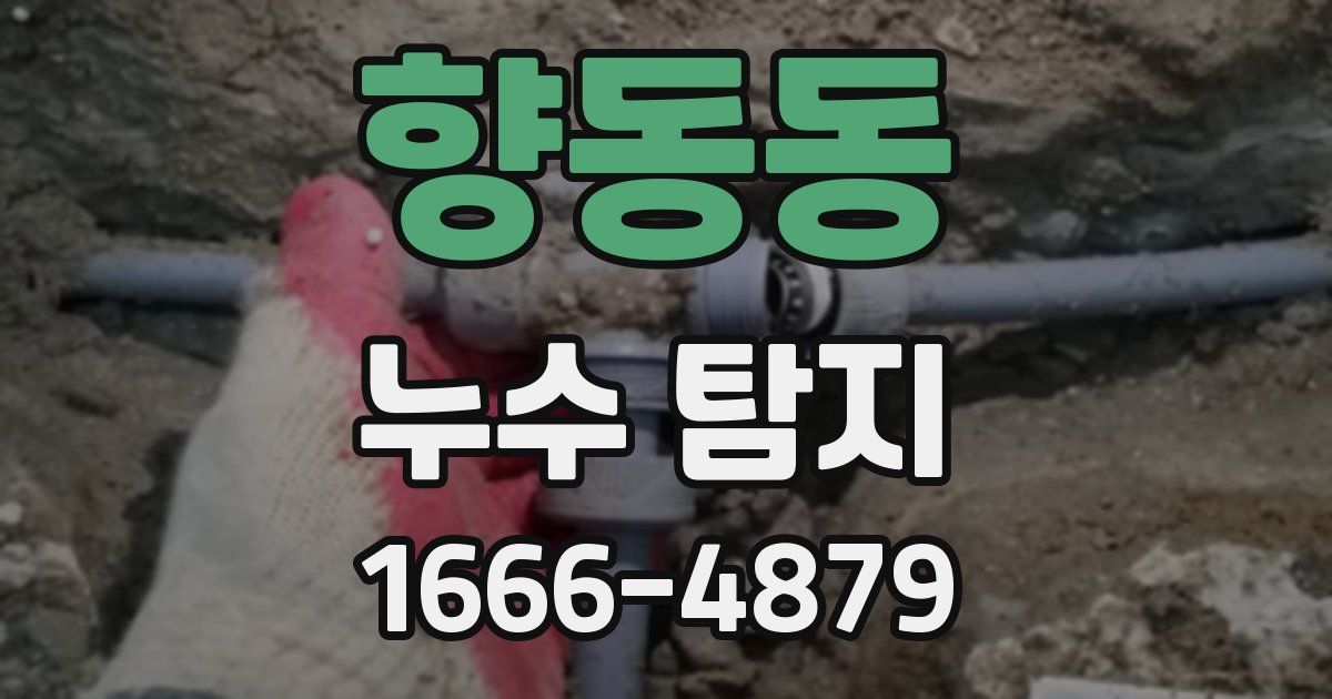 향동동 누수 탐지
