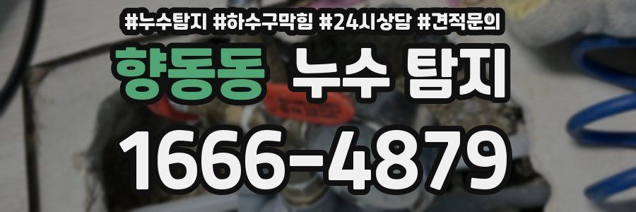 향동동 누수 탐지