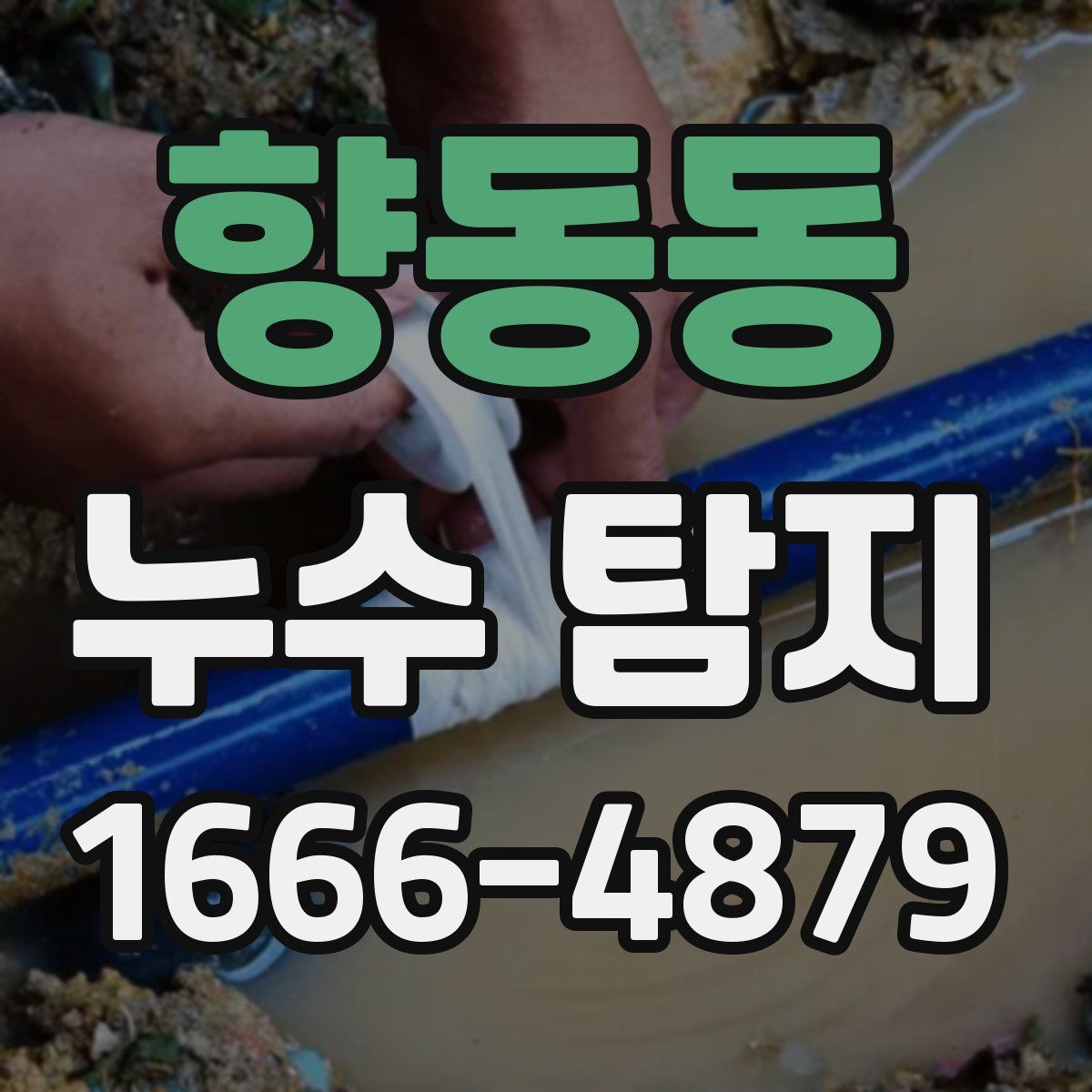 향동동 누수 탐지