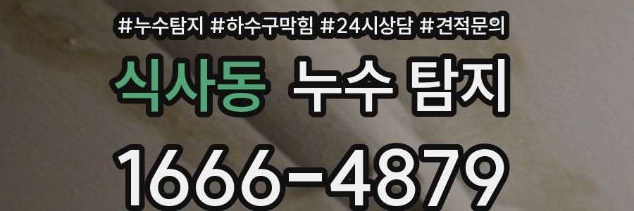 식사동 누수 탐지