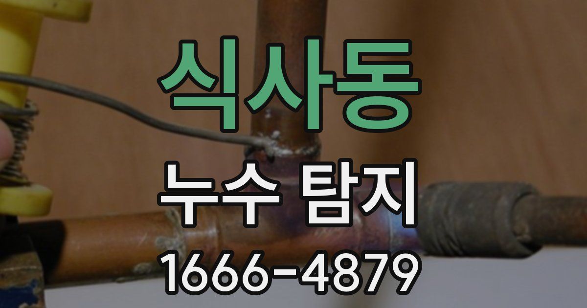 식사동 누수 탐지