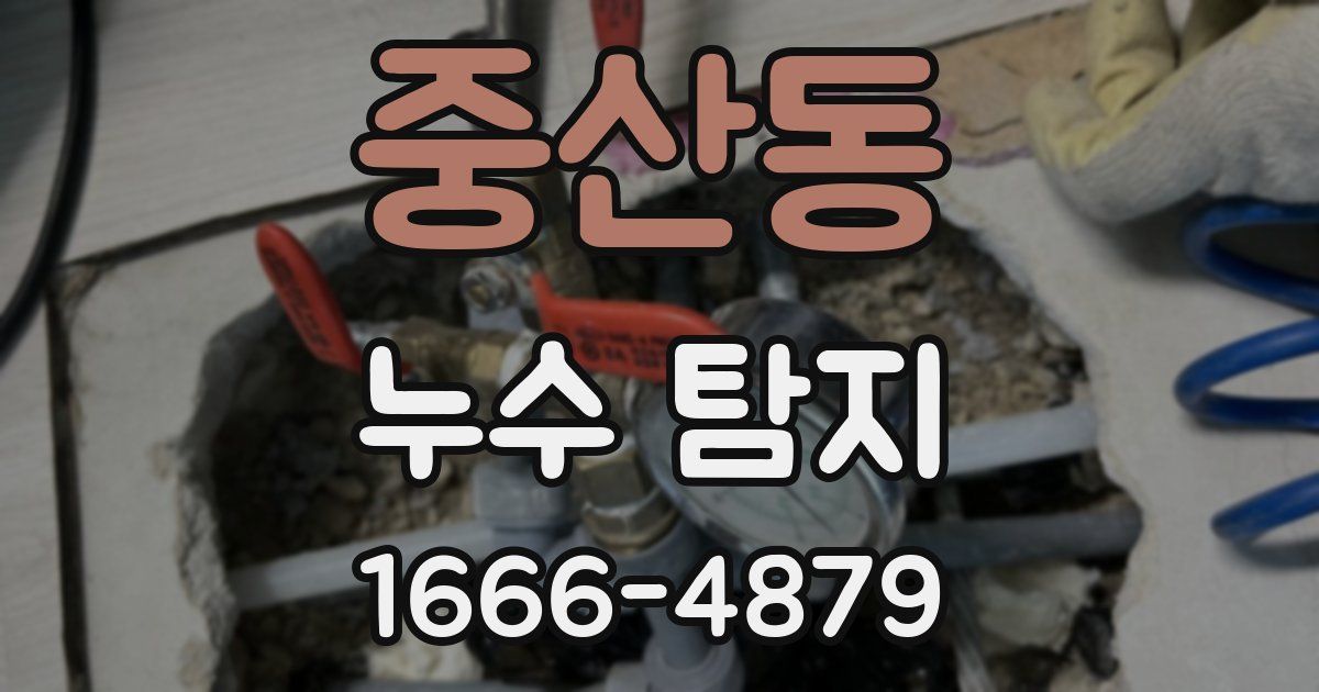 중산동 누수 탐지