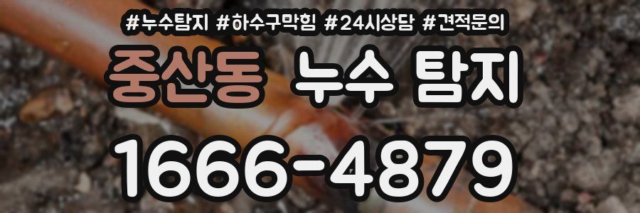 중산동 누수 탐지