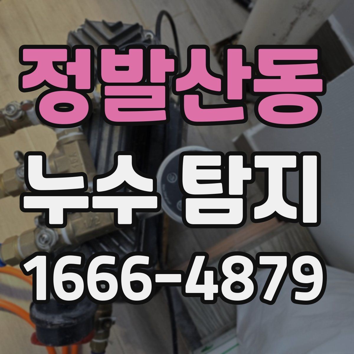 정발산동 누수 탐지 결과를 바탕으로 한 후속 조치