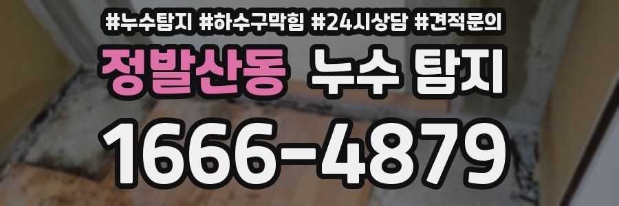 정발산동 누수 탐지