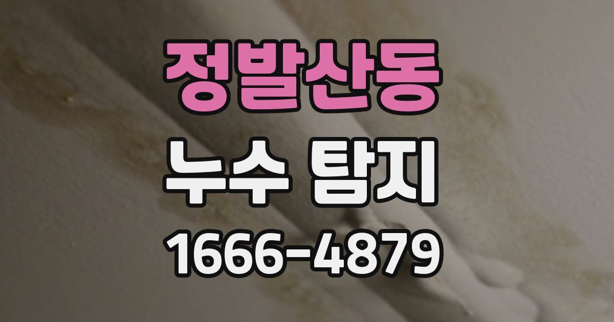 정발산동 누수 탐지