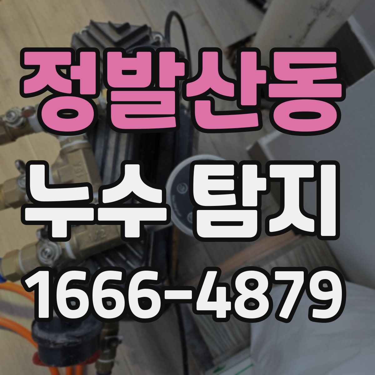 정발산동 누수 탐지