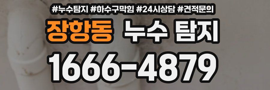 장항동 누수 탐지