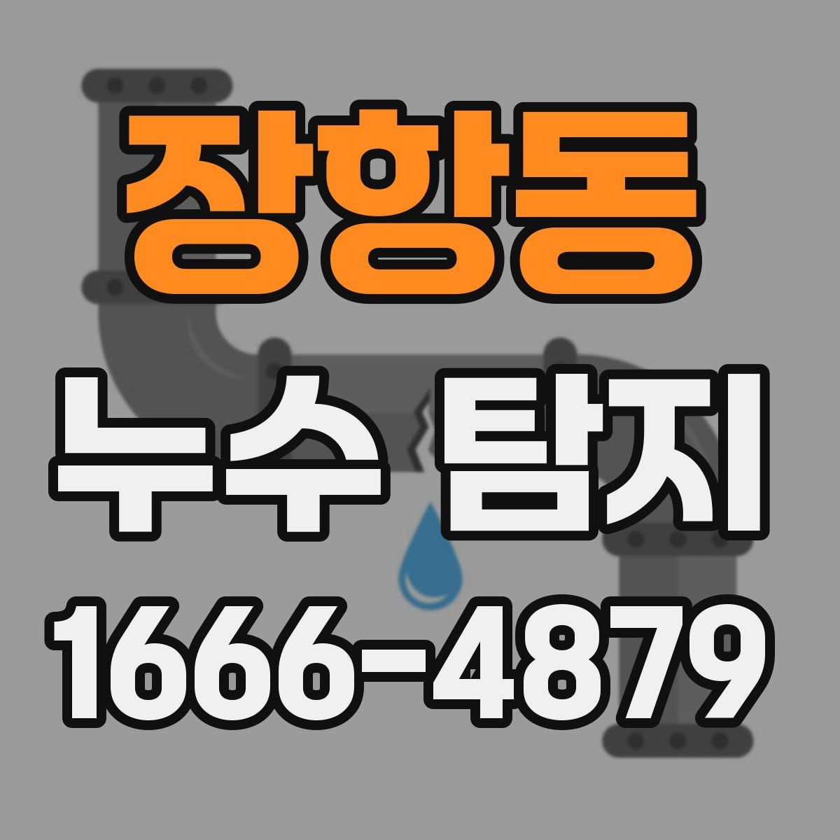 장항동 누수 탐지