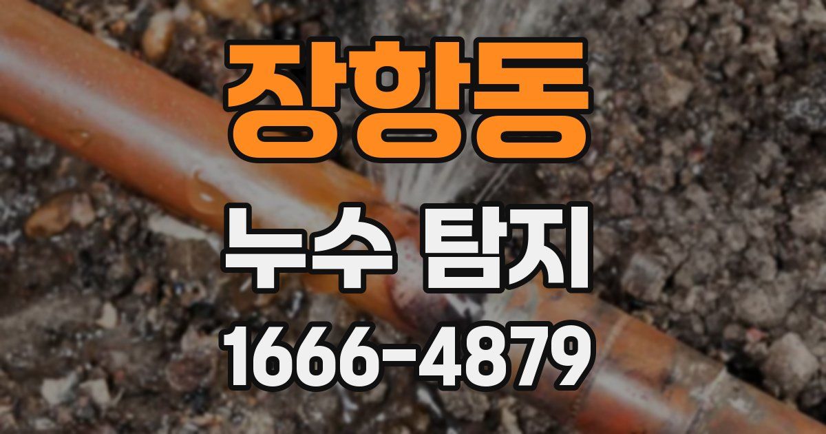 장항동 누수 탐지