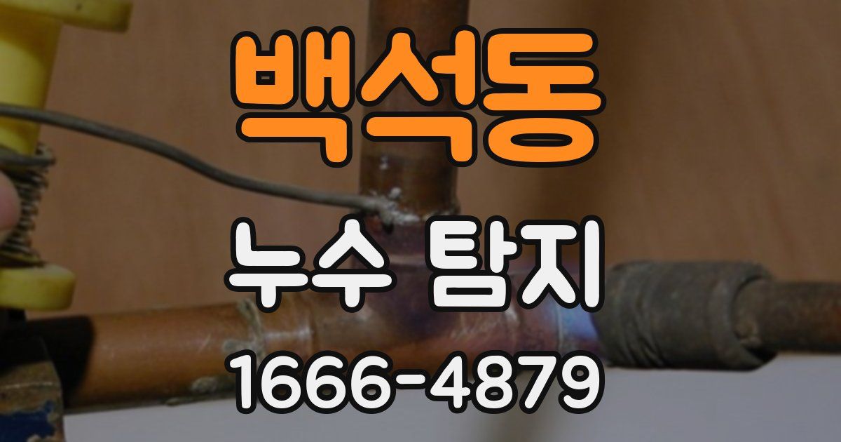 백석동 누수 탐지