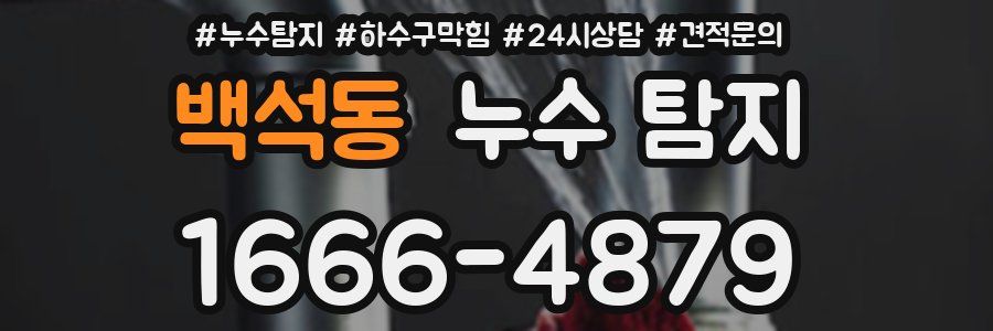 백석동 누수 탐지