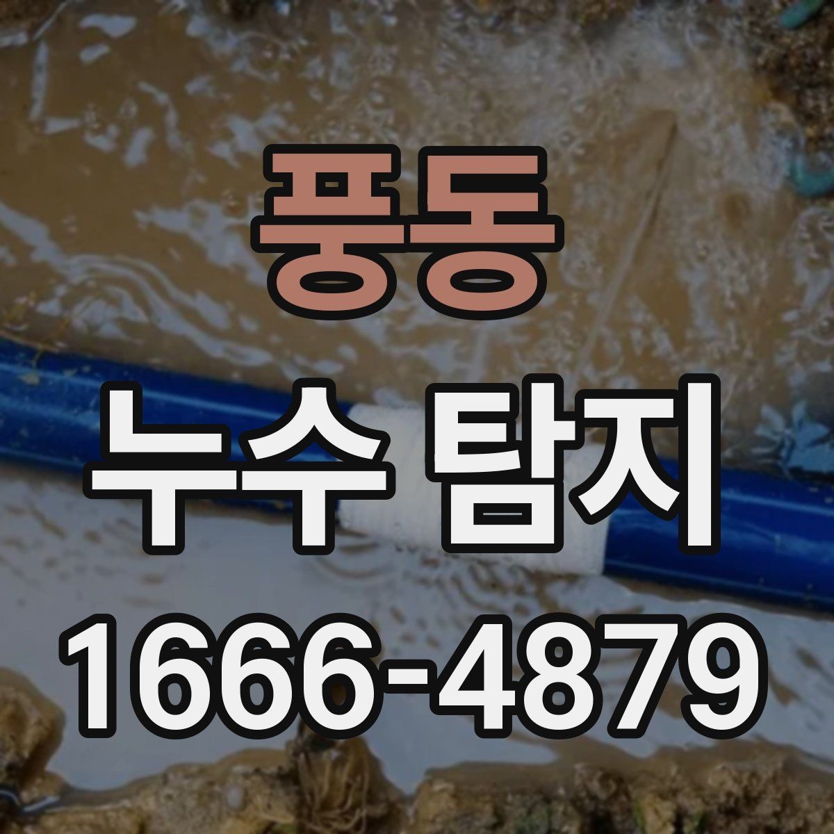 풍동 누수 탐지 업체 후기 읽는 방법