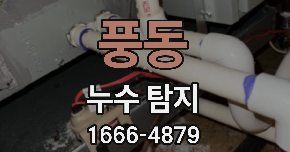 풍동 누수 탐지