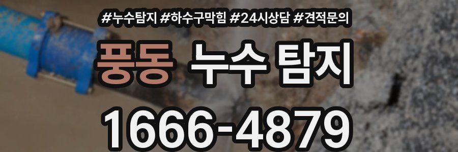 풍동 누수 탐지