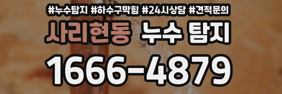 사리현동 누수 탐지