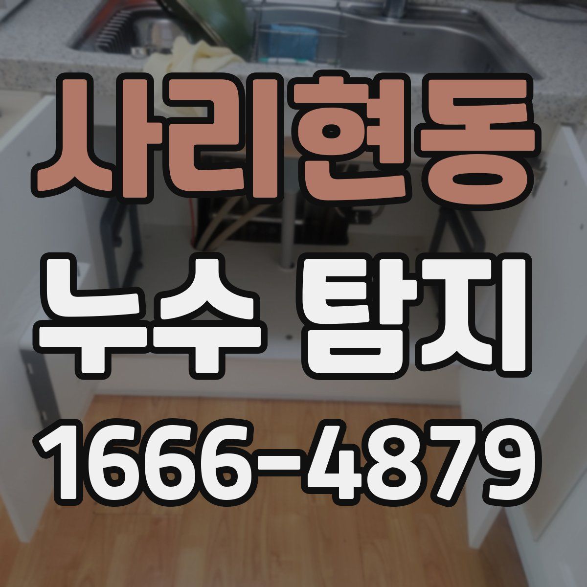 사리현동 누수 탐지