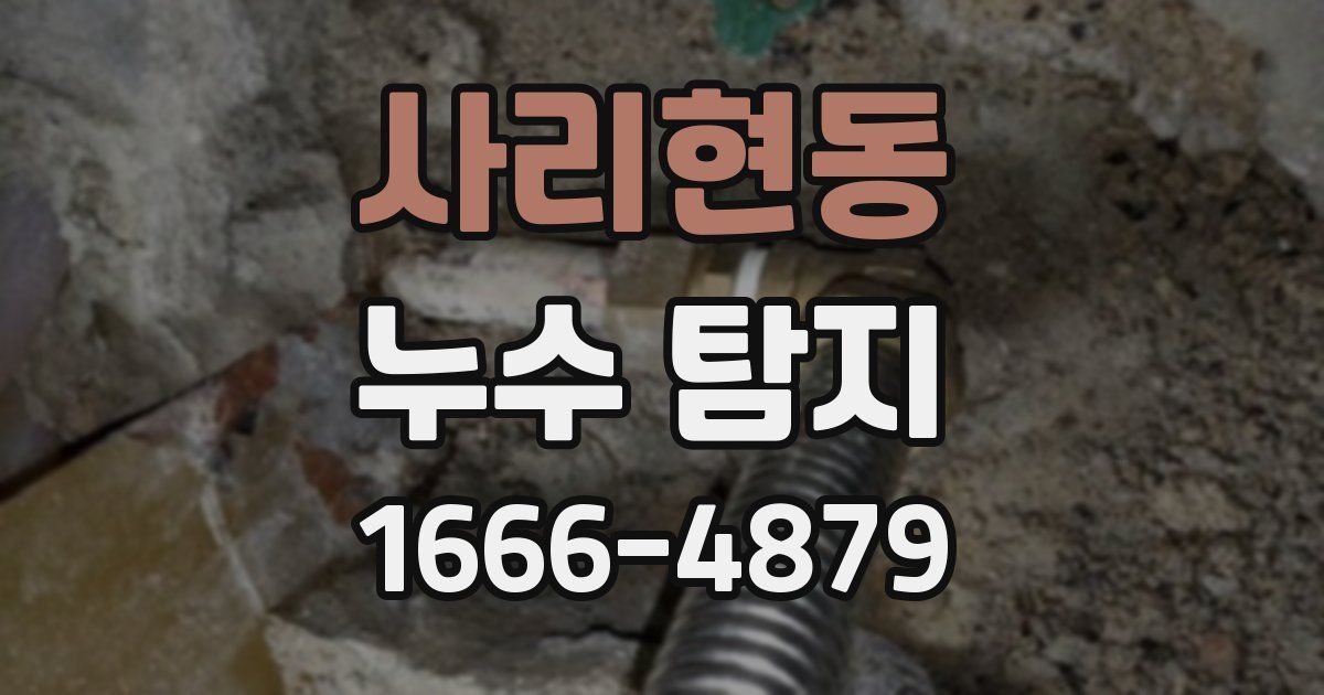사리현동 누수 탐지