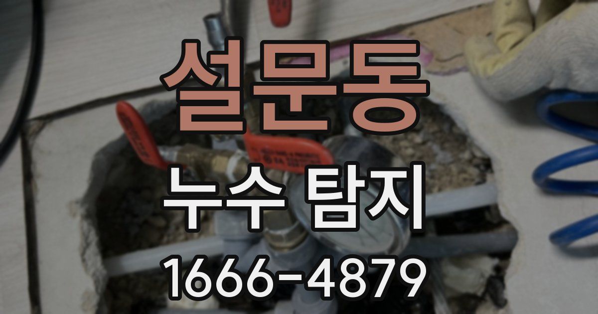 설문동 누수 탐지