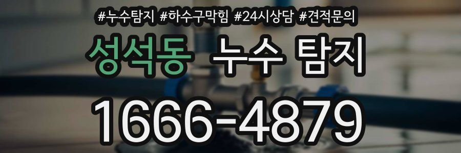 성석동 누수 탐지