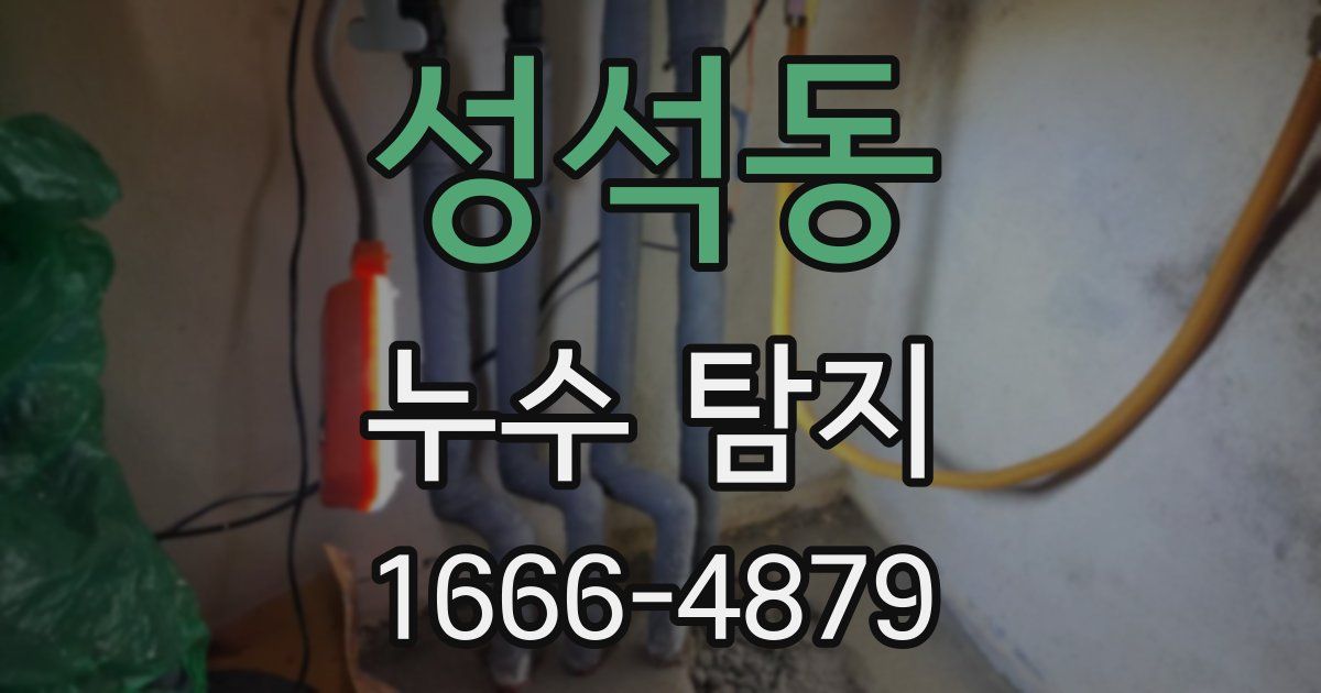성석동 누수 탐지