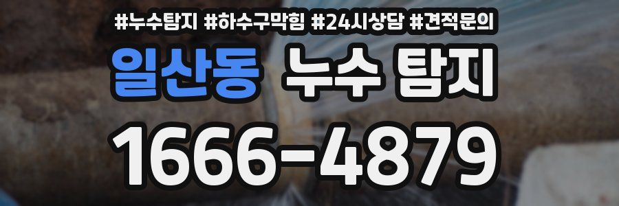 일산동 누수 탐지