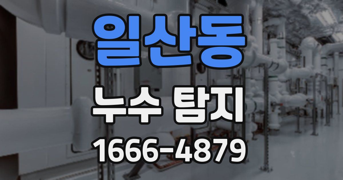 일산동 누수 탐지