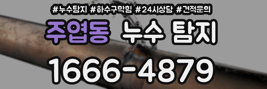 주엽동 누수 탐지