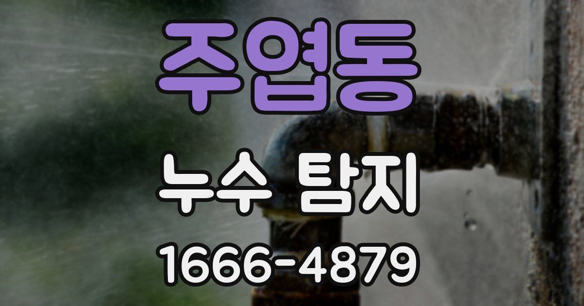 주엽동 누수 탐지