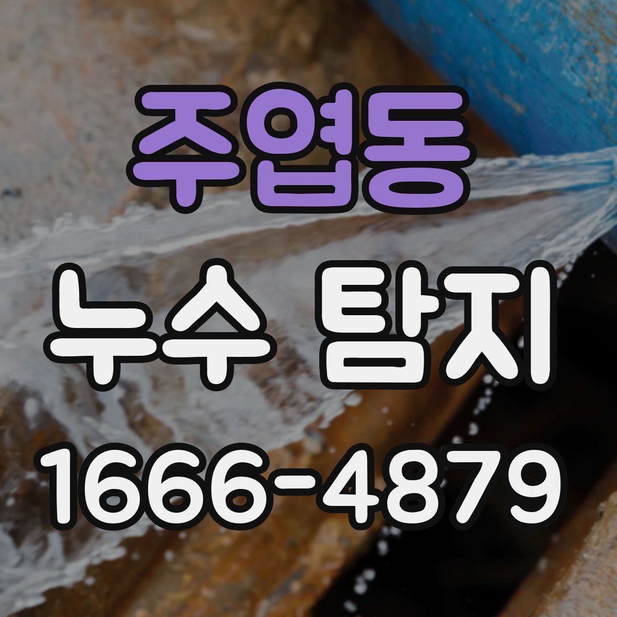 주엽동 누수 탐지