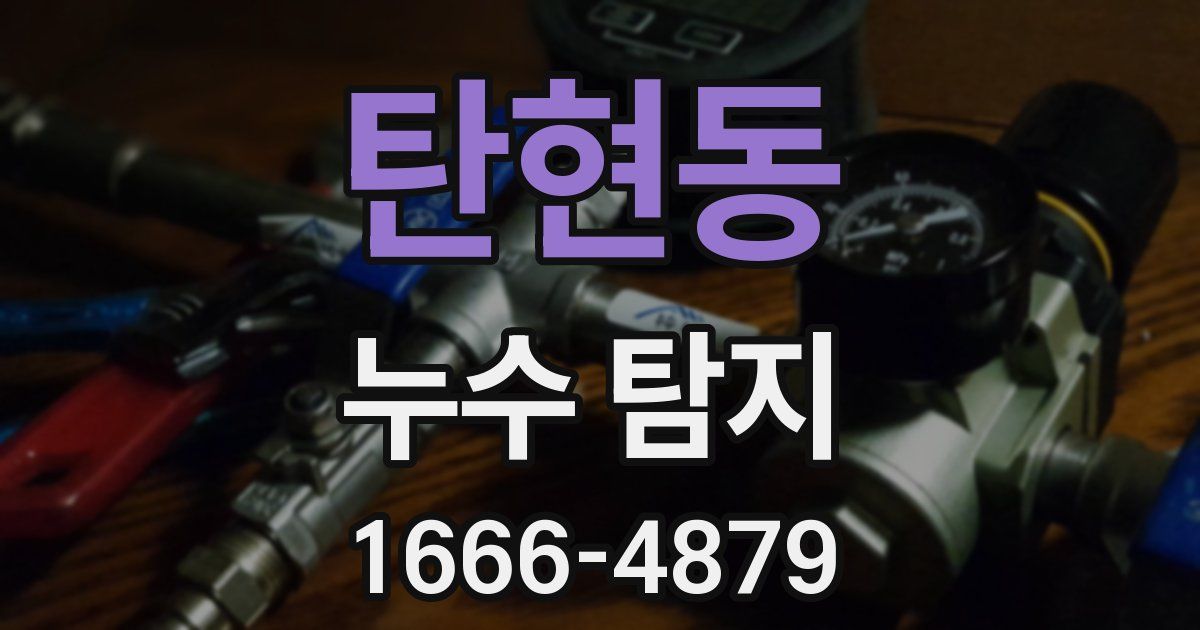 탄현동 누수 탐지