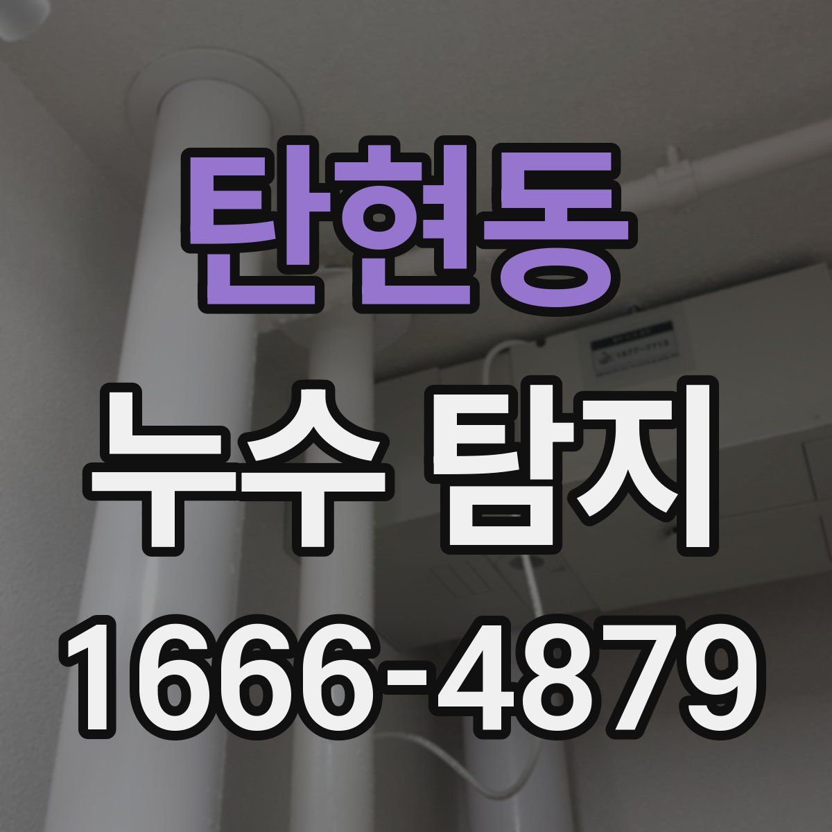 탄현동 누수 탐지