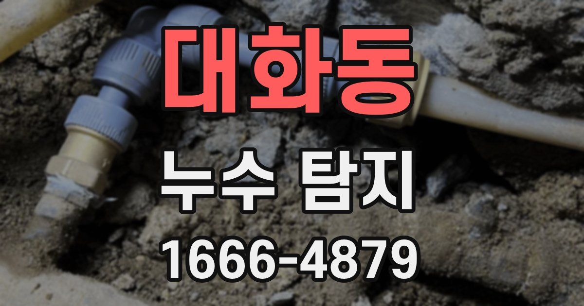 대화동 누수 탐지
